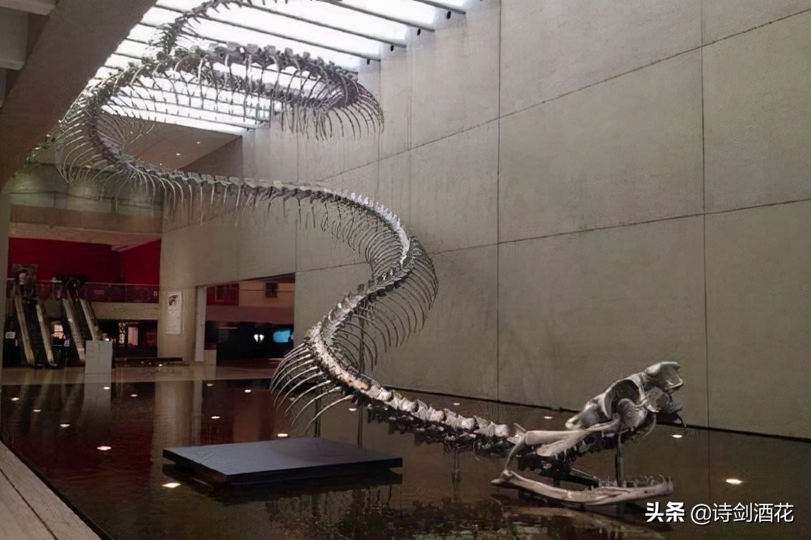 人为什么怕蛇婴儿给出了答案,人类怕蛇仅仅是因为蛇恐惧吗