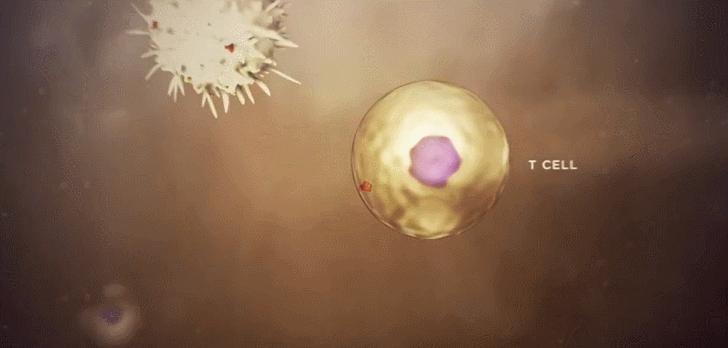 什么细胞治疗可以抗衰老,细胞抗衰老的最佳方法