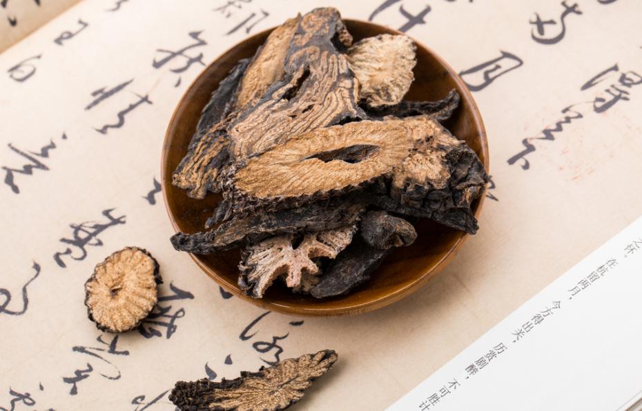 酒泉特产苁蓉,兰州特产药材肉苁蓉