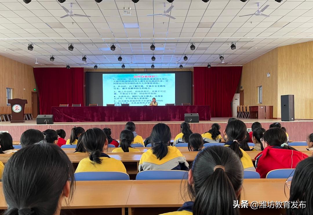 新闻周播报完整版,新闻播报周播