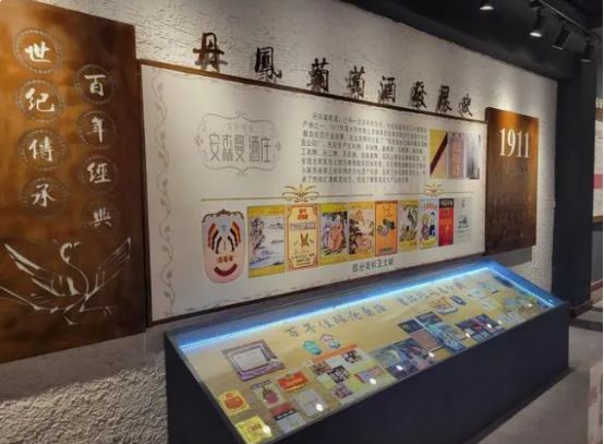 落魄的凤凰不如鸡对吗,落魄的凤凰不如鸡电视剧