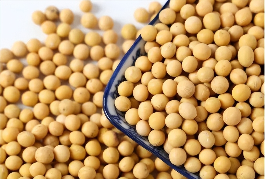 四川省大山发现野生大豆,四川省发现野生大豆