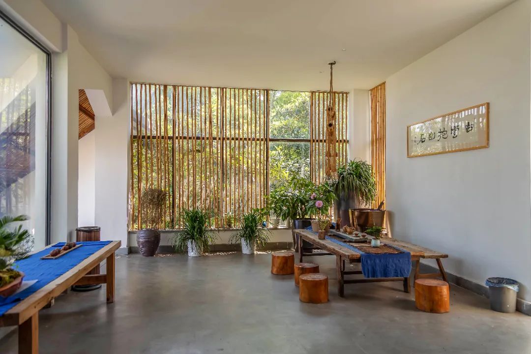 苏州西山太湖精品民宿,苏州太湖最强民宿推荐