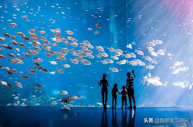 去珠海长隆海洋王国攻略三天两夜,珠海长隆海洋王国3天旅游攻略