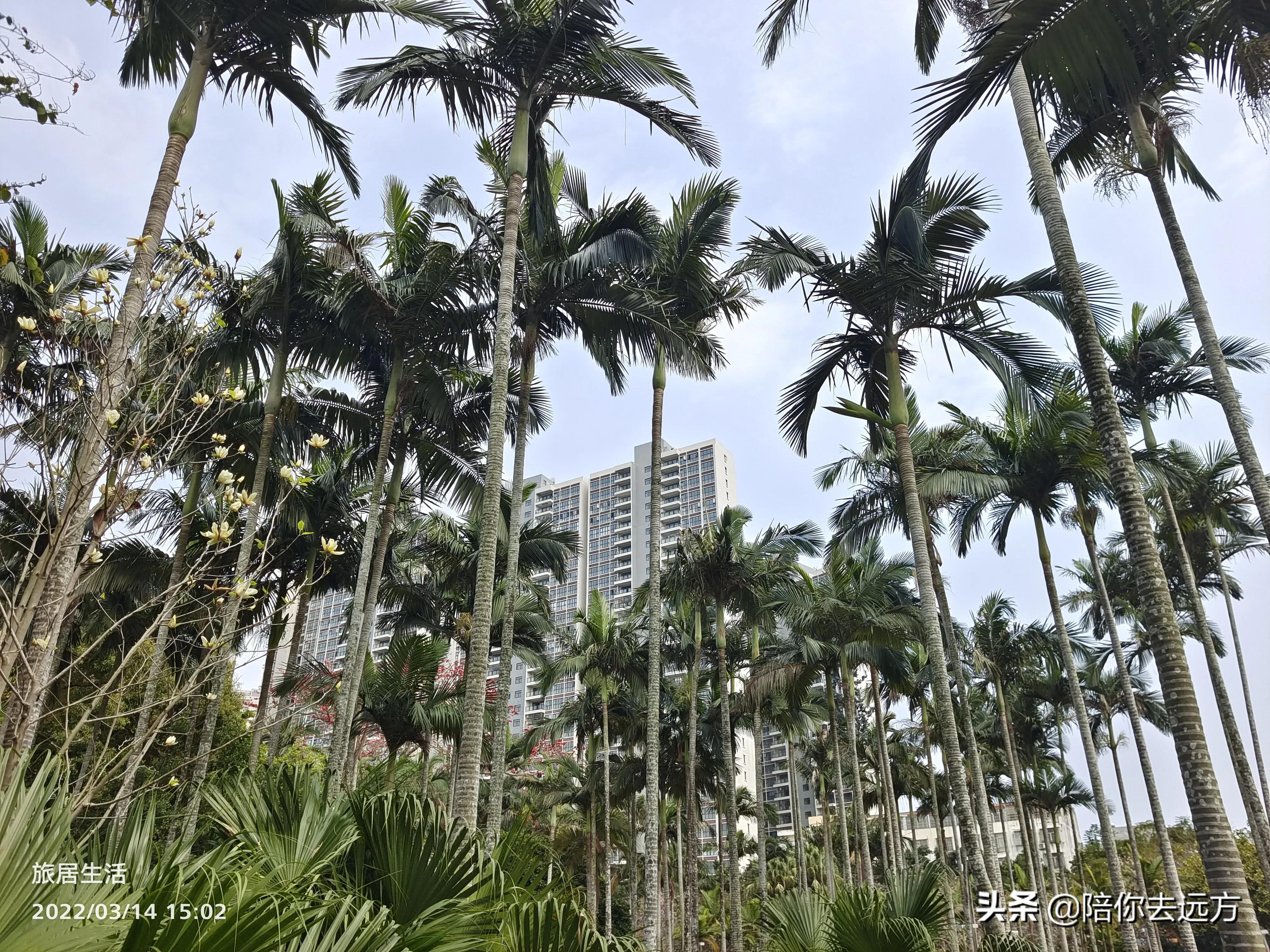 北海旅居具体地址,旅居北海住在哪里好