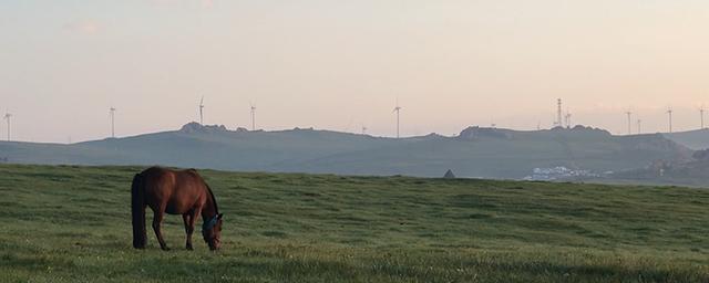内蒙古五一自驾游旅游景点推荐,五一草原绿了吗鄂尔多斯