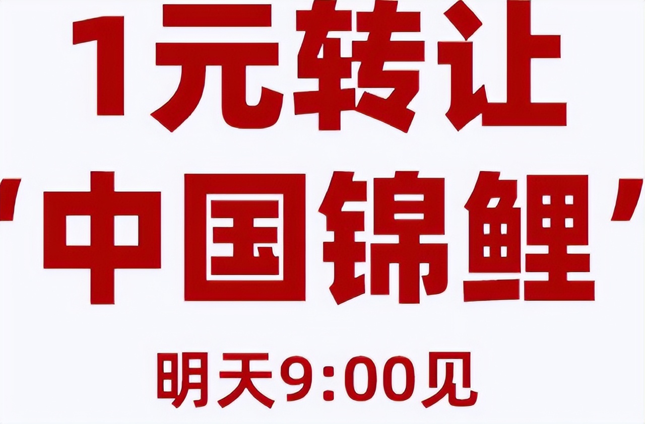 中奖1亿的信小呆现状,当年的锦鲤信小呆