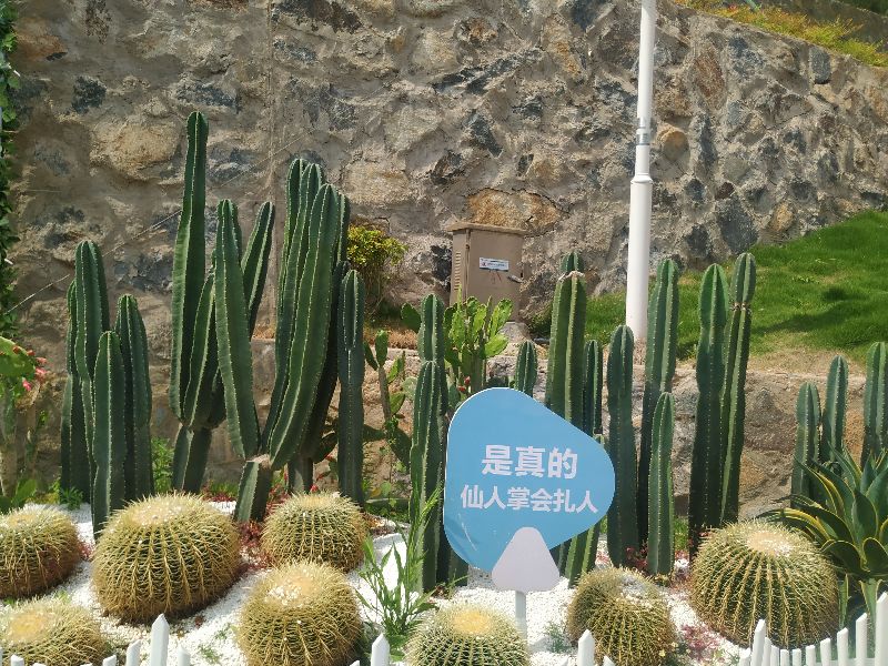 浙江蓝色的大海,浙江哪里可以看到蓝色的大海