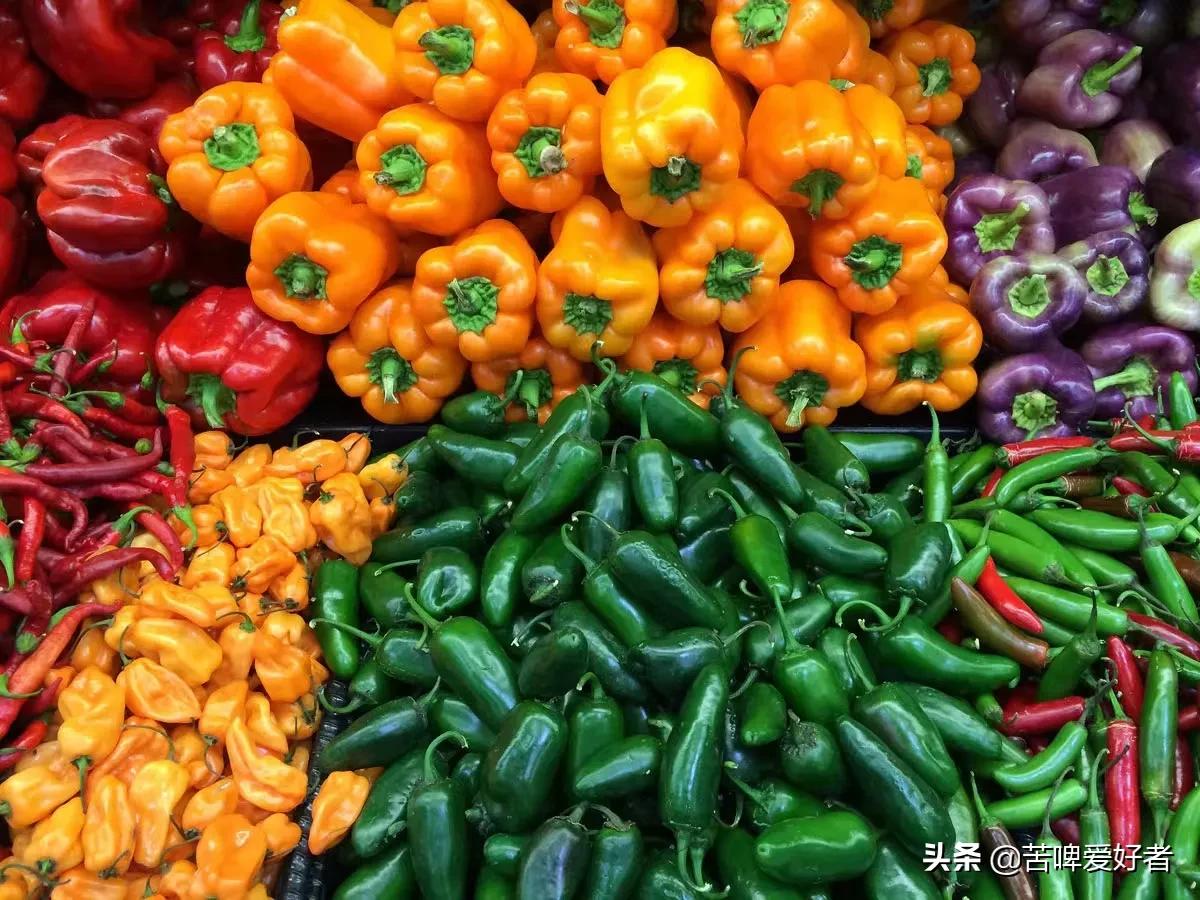 小时候割猪草,小时候割喂猪的猪草都叫什么