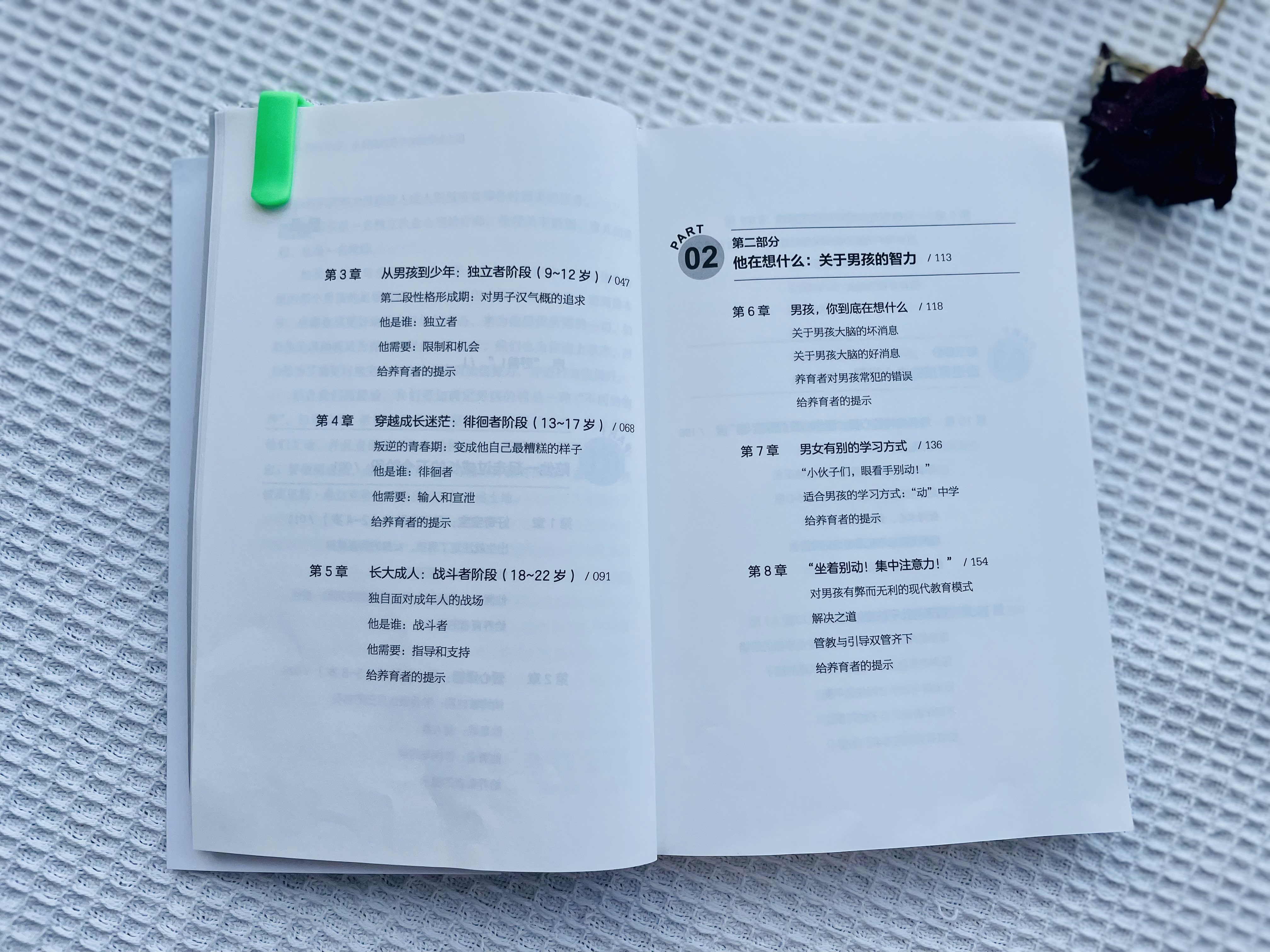 男孩养育大忌是什么,养育男孩3个关键期