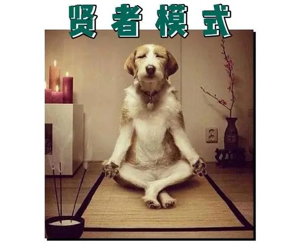 为什么越来越多的单身人士，不再用手来满足生理需求？