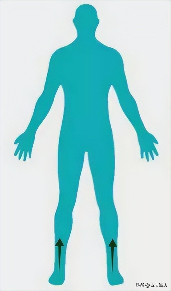 站桩内功解密视频,神奇的站桩视频