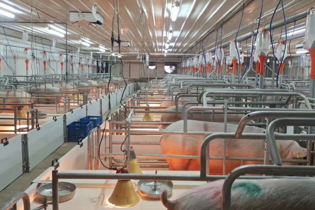 龙头企业拉动产业发展,龙头企业带动配套产业提质增效