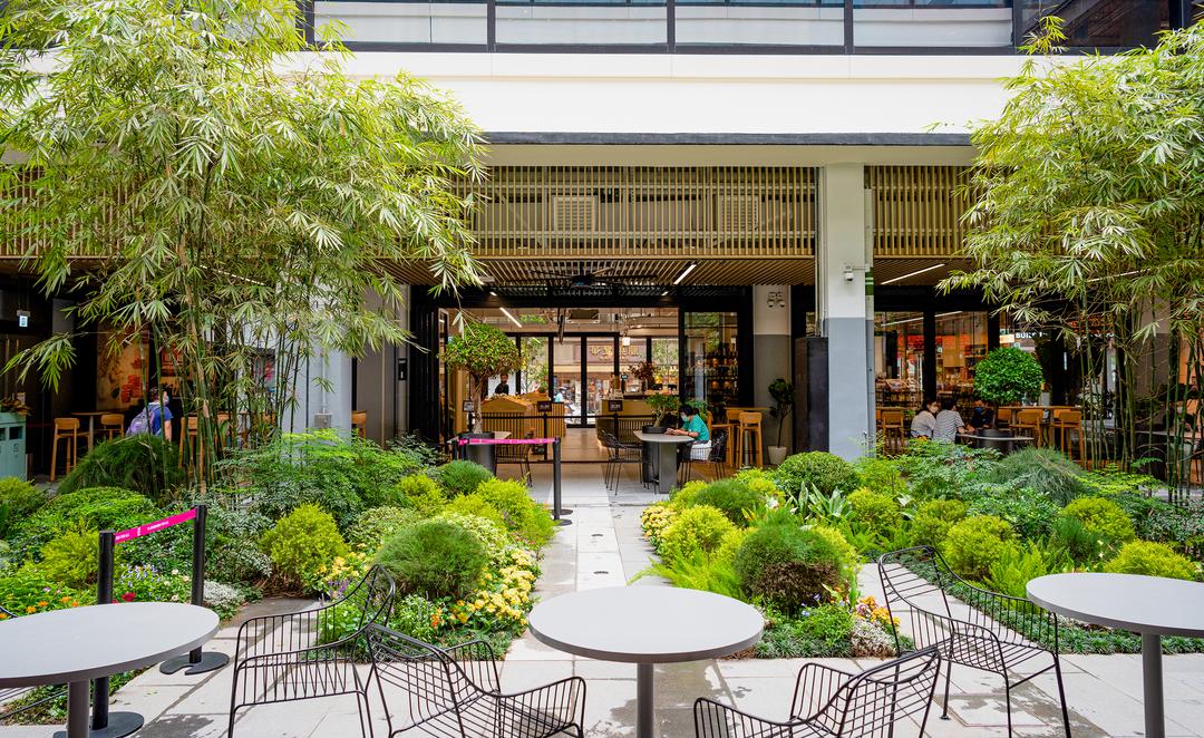 城市景观提升改造规划,最大城市改造项目