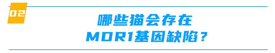 mdr1基因缺失什么意思,mdr1a怎么样