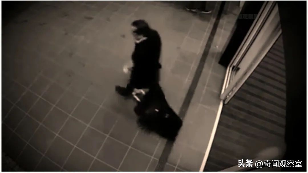 澳洲千万富豪，一味追求刺激痴迷变态游戏，最终招来杀身之祸