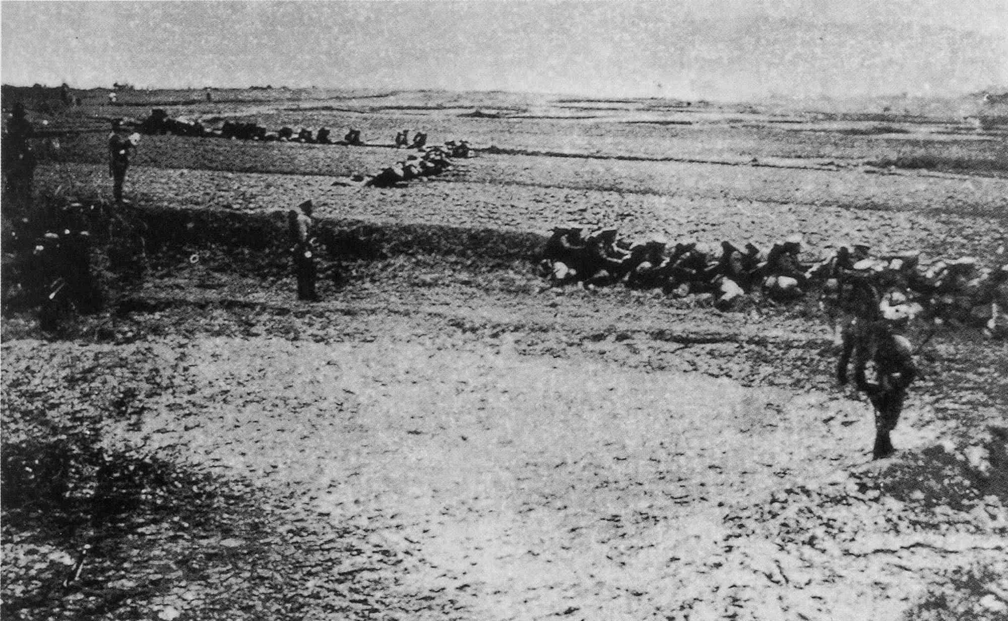 阳夏保卫战珍贵视频,阳夏保卫战的图片