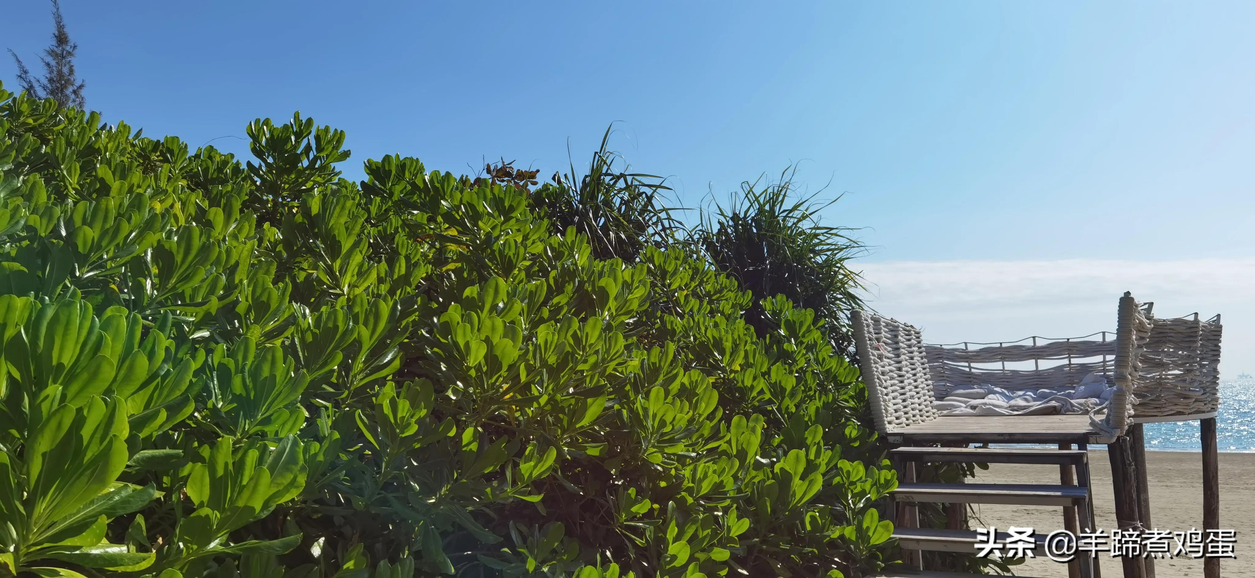 三亚椰梦长廊日落绝美,三亚湾椰梦长廊看夕阳最佳观赏点