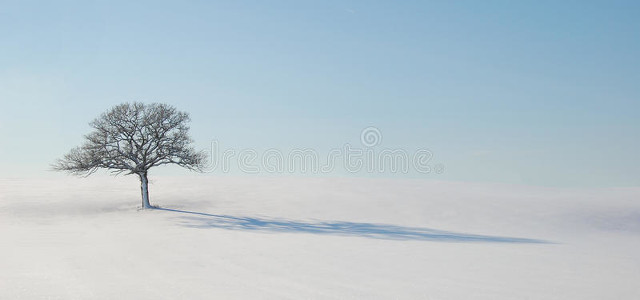 铔颁紡瀹堟湜,铔颁紡瀹堟湜鏄粈涔堟剰鎬濆晩