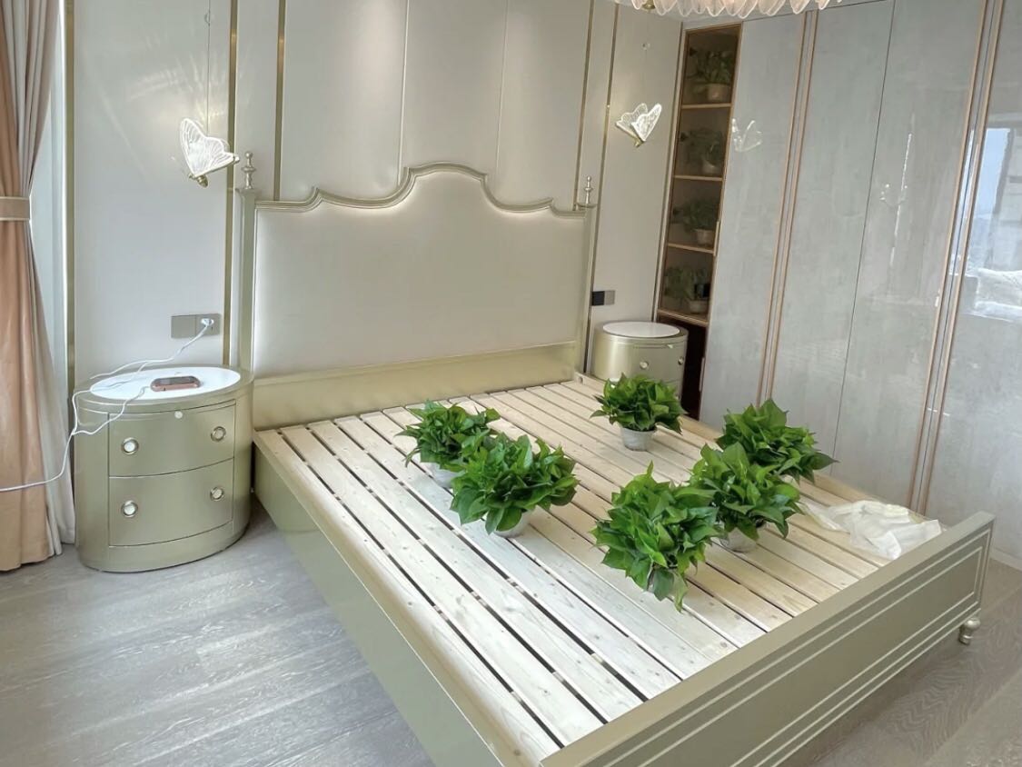 一屋子绿萝除甲醛,金华绿萝除甲醛吗