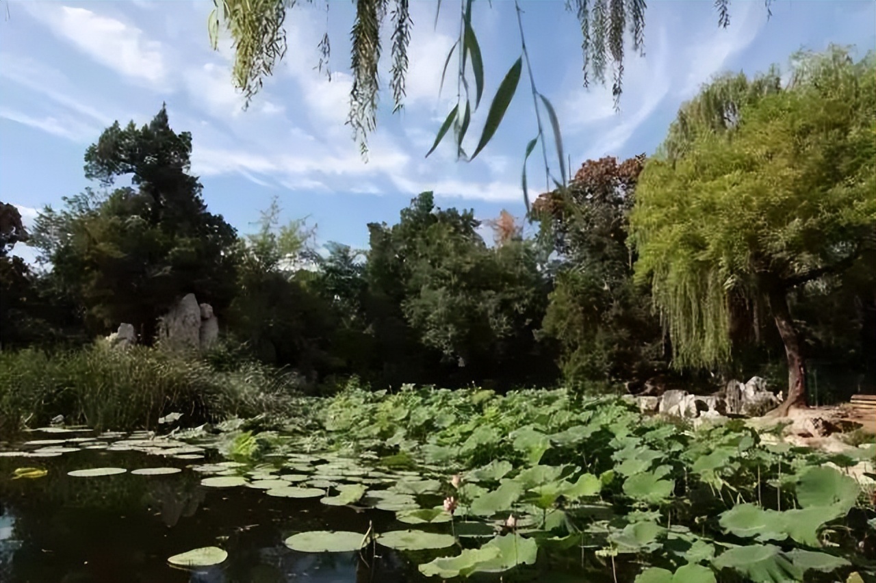电力类大学,重庆电力类大学