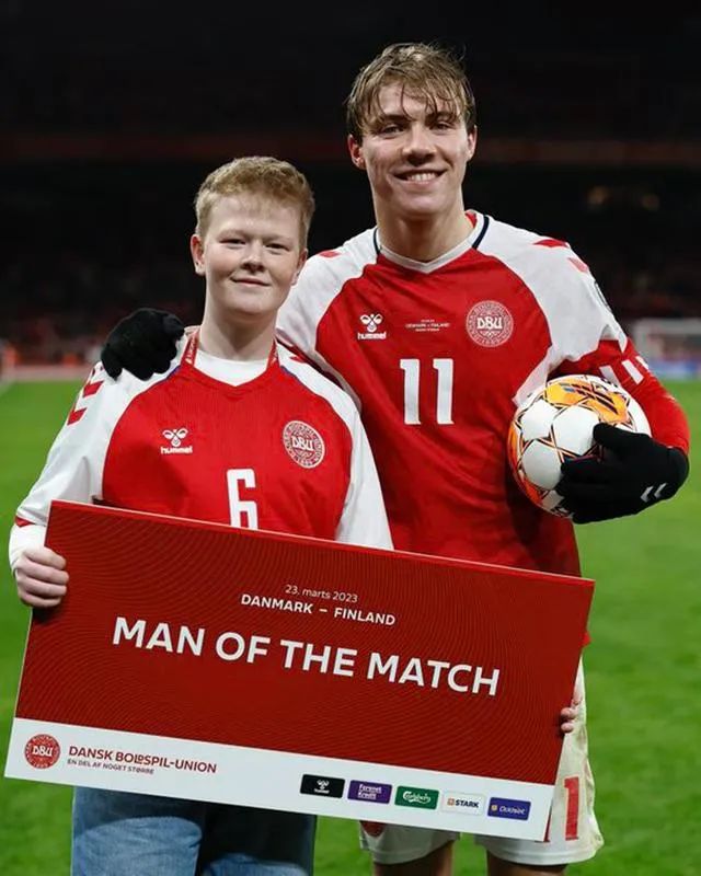 哈兰德二选一,哈兰德系列