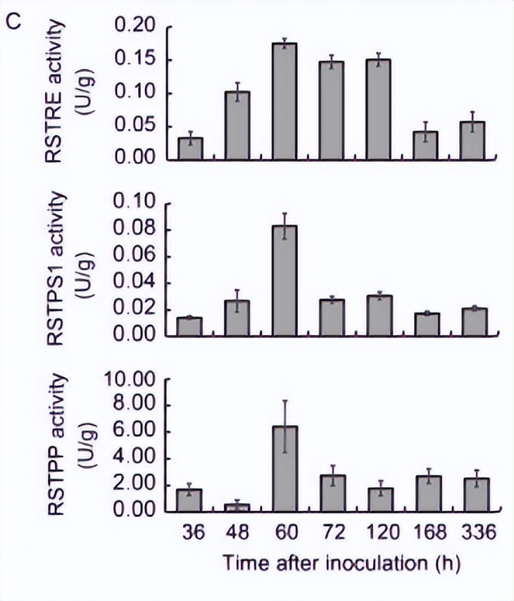海藻糖代谢,海藻糖对植物抗逆性的作用