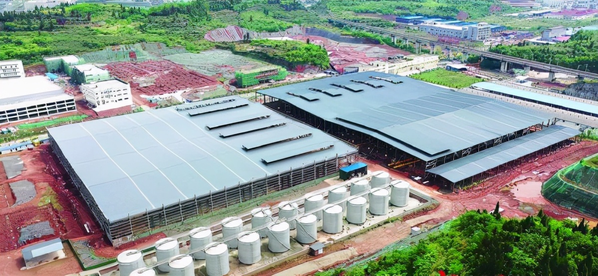 可喜可贺!南充嘉陵这瓶“四川凸酒”新年开局又给家乡带来大喜