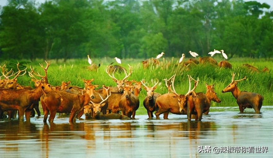 盐城最大的海边城市,盐城海岸线为何一直延伸