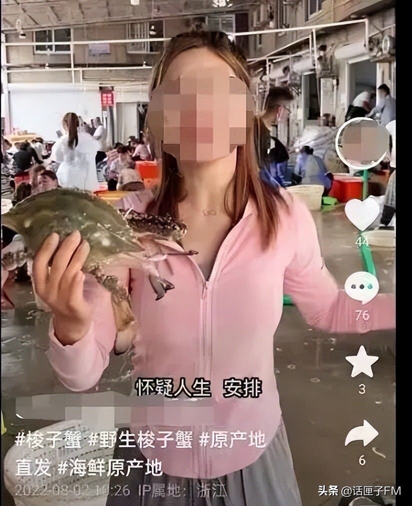 椰树牌椰汁直播两个版本,椰树牌椰汁最新直播