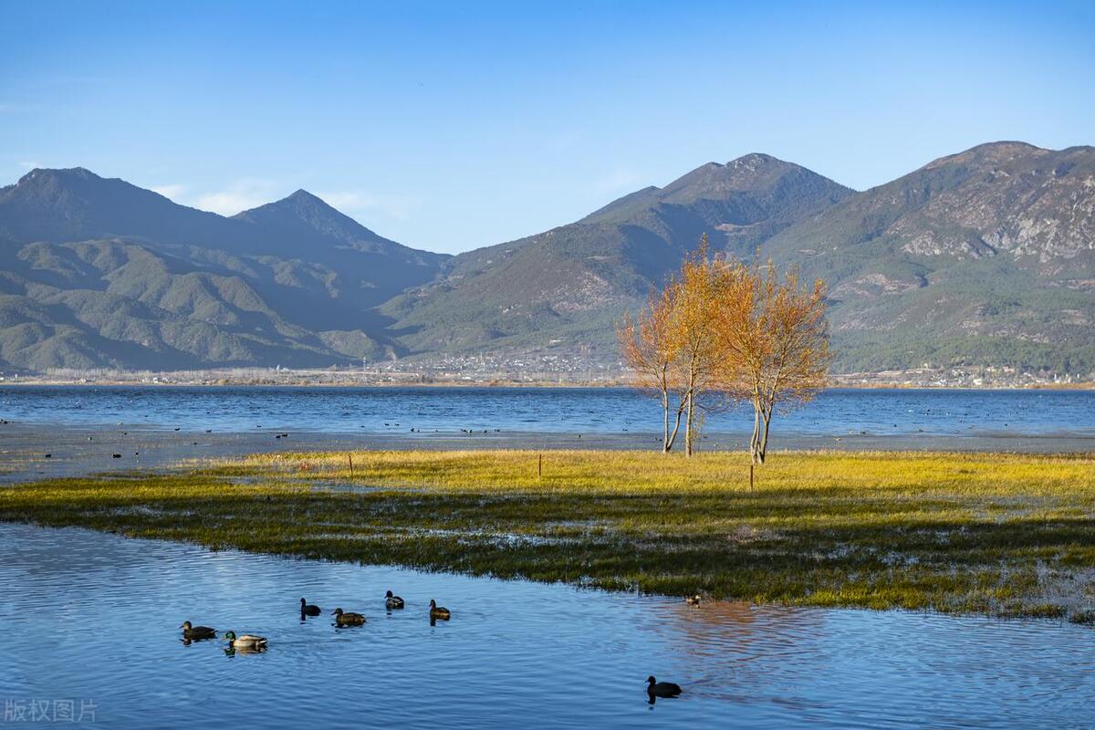 冬季云南自由行攻略详细版,云南旅游如何一天玩转大理