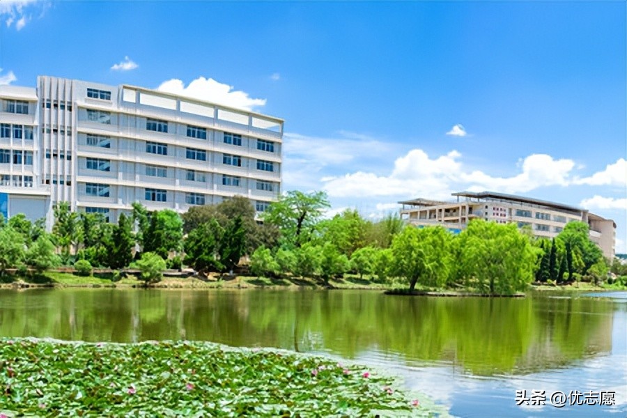 昆明师范类院校有哪些,昆明公办师范学校