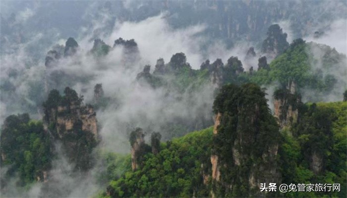 张家界值得和朋友打卡的地方,张家界五日游攻略自由行