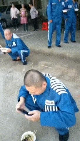 神回复：老鼠贴粘到的，吃了不会犯法吧？网友：自首，争取死缓