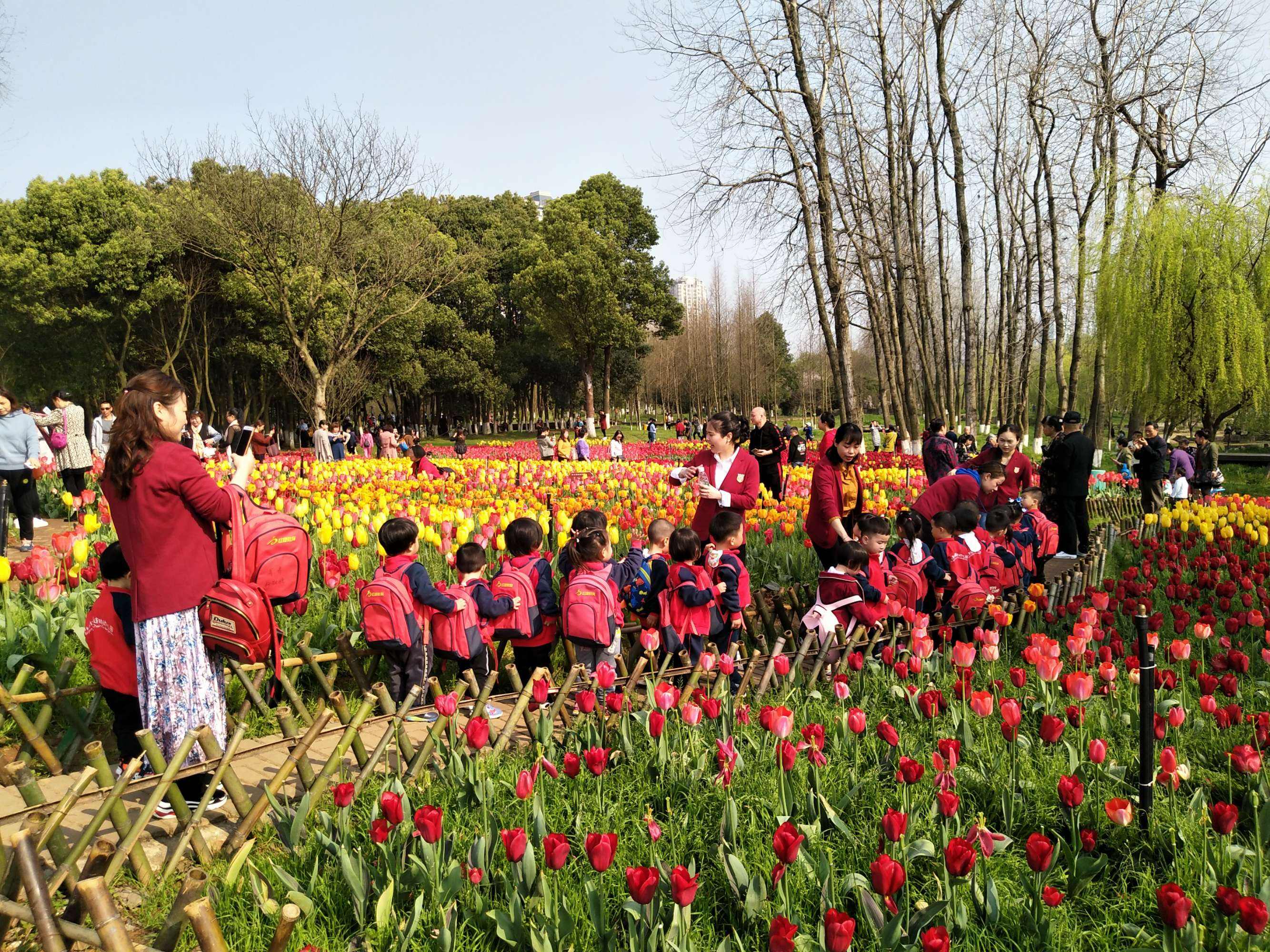 铁道兵战友相聚诗,铁道兵战友之歌简谱