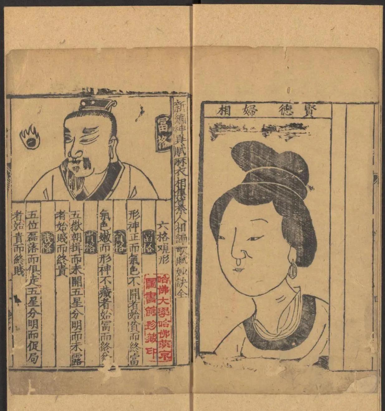 鎰熺煡鍘嗗彶鍝佸懗鏂囧寲缁忓吀,楹荤鐩告湳