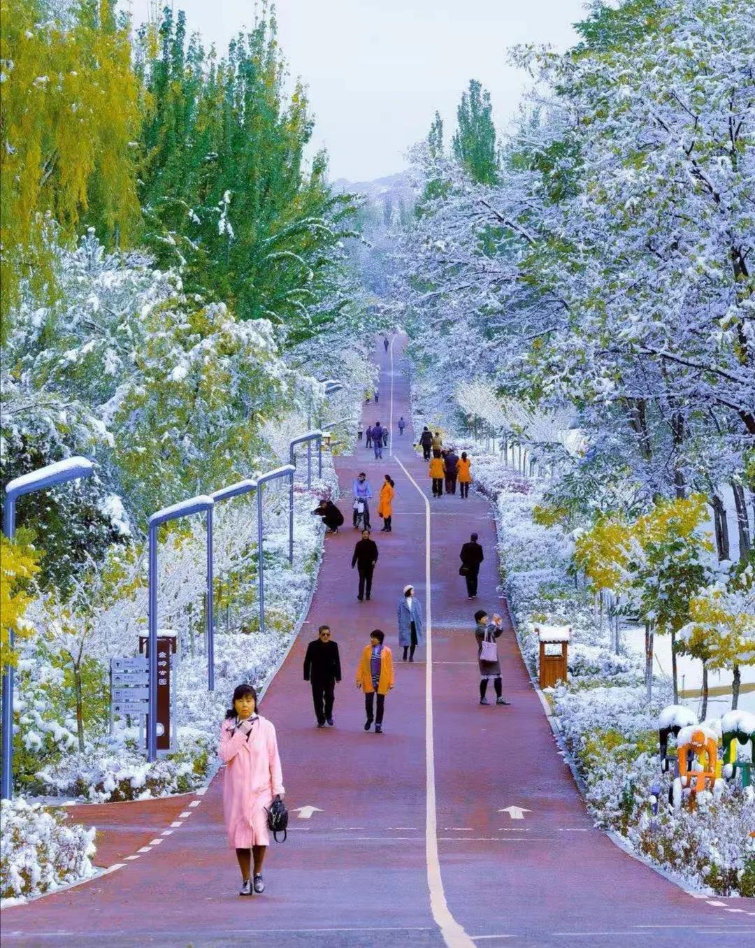 更有“温度”更有“热度”……白银区，一座值得爱的城市