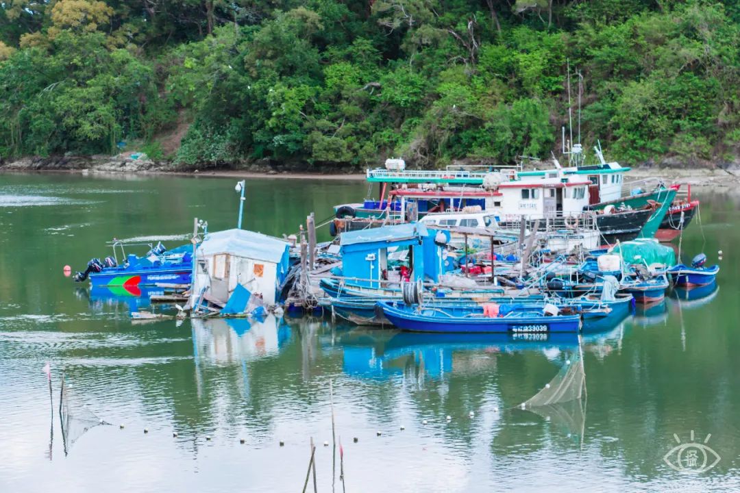 深圳小众打卡景点龙岗,2022深圳10个小众打卡地免费游玩