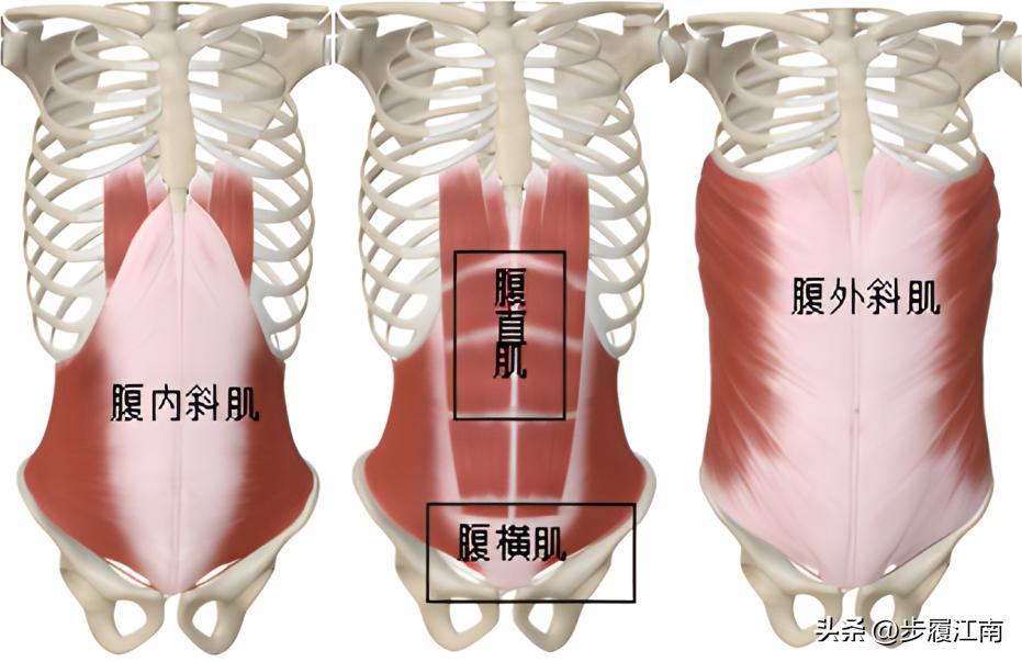 已经有了腹肌怎样练腹肌更明显,腹肌训练一个动作一分钟练出腹肌