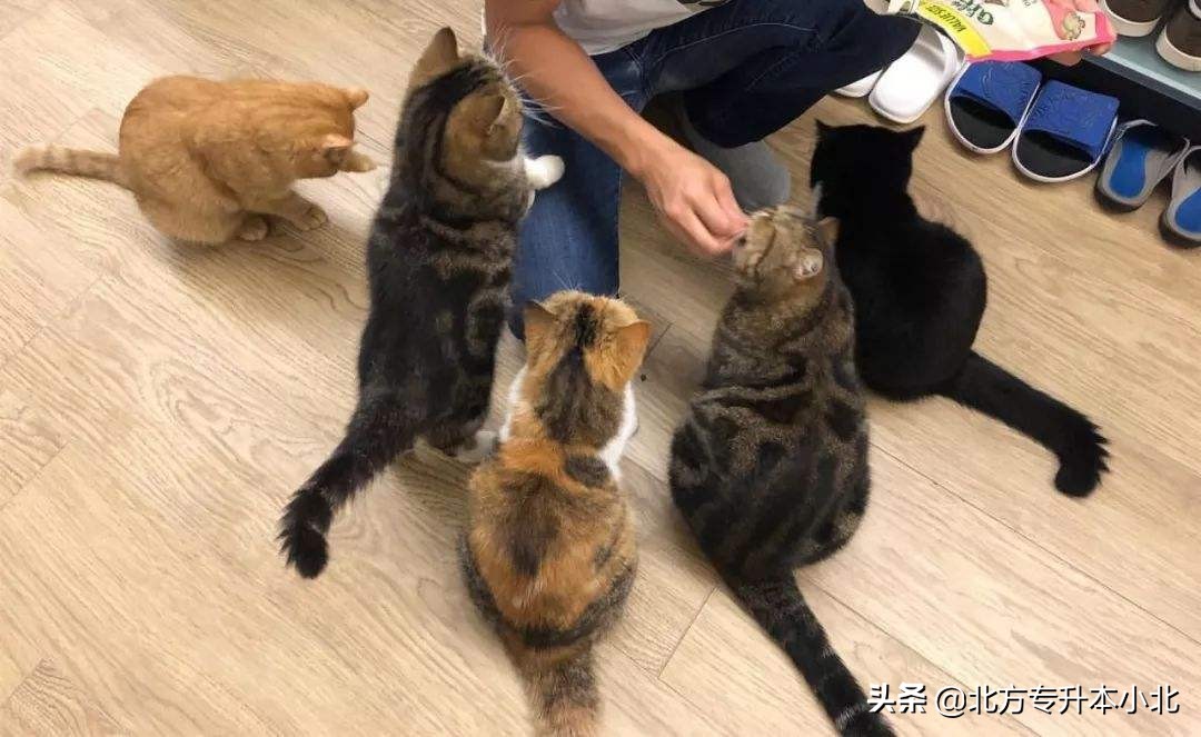 冷门且暴利的自由职业,最廉价的自由职业排行榜