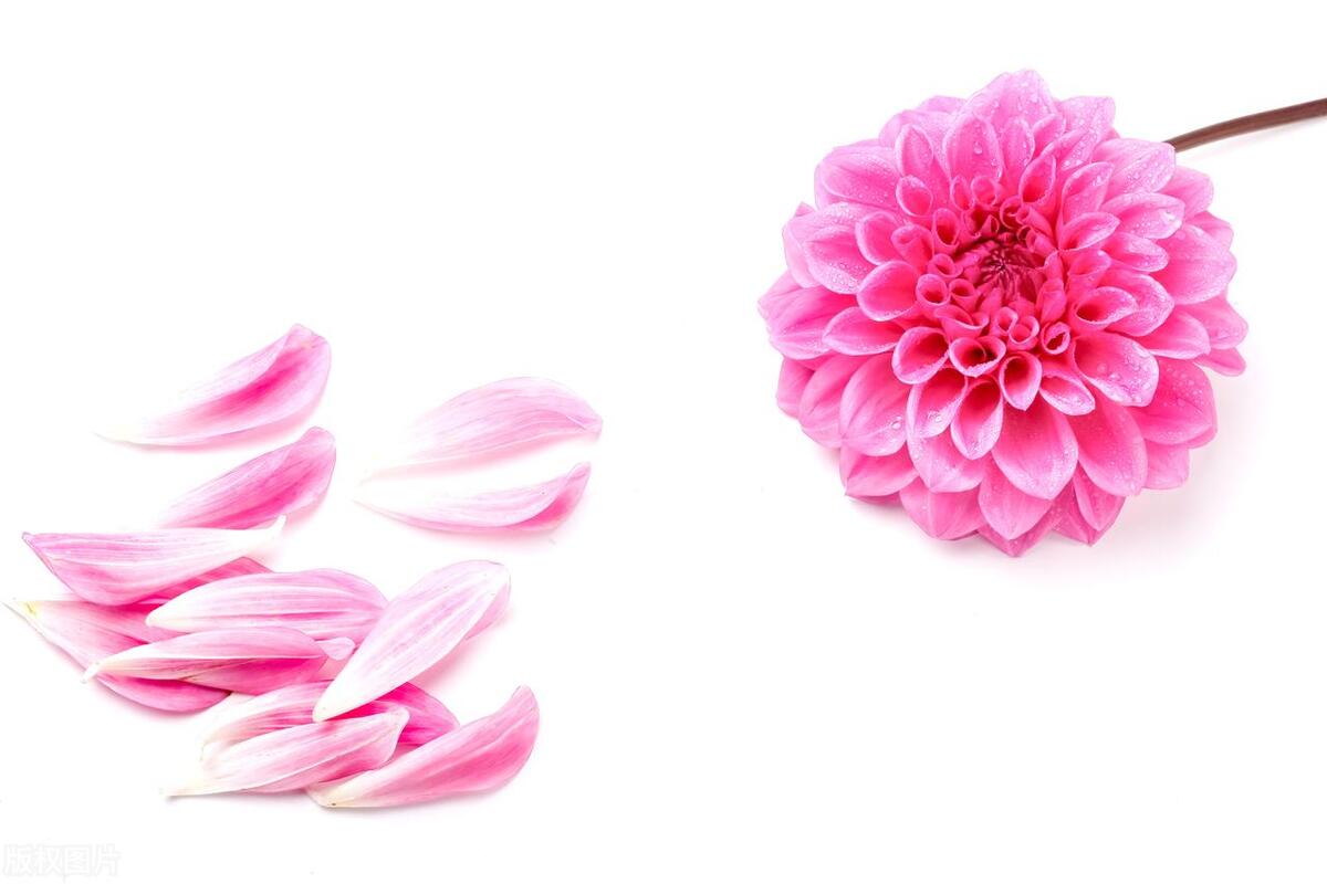 钱钱钱，到处是为钱的烦恼