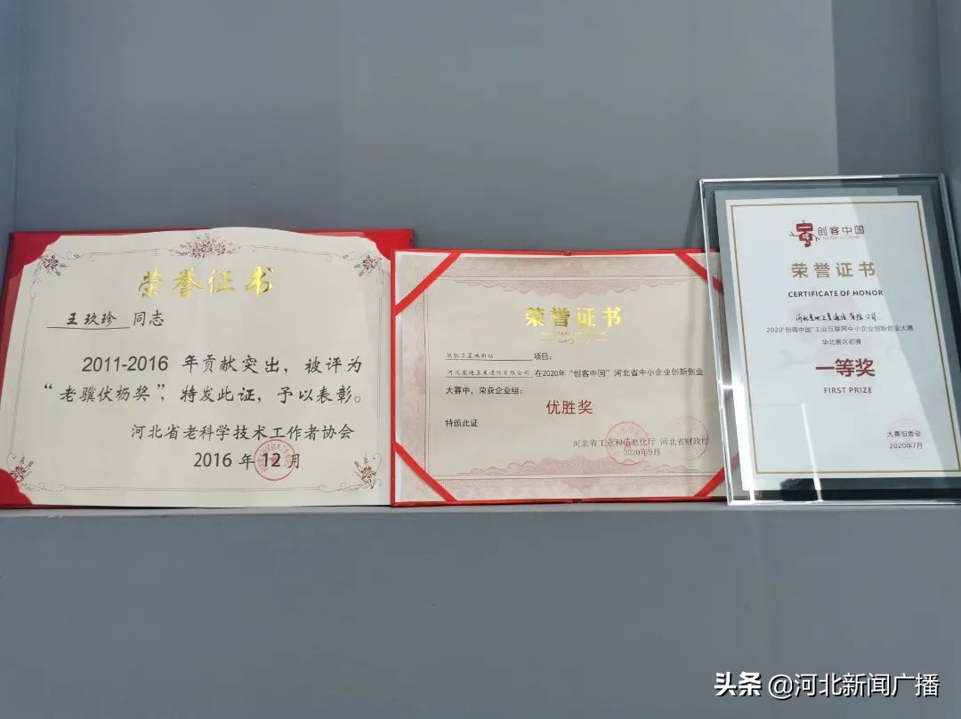 科技园是干嘛的通俗解释,科技园到底是干什么的