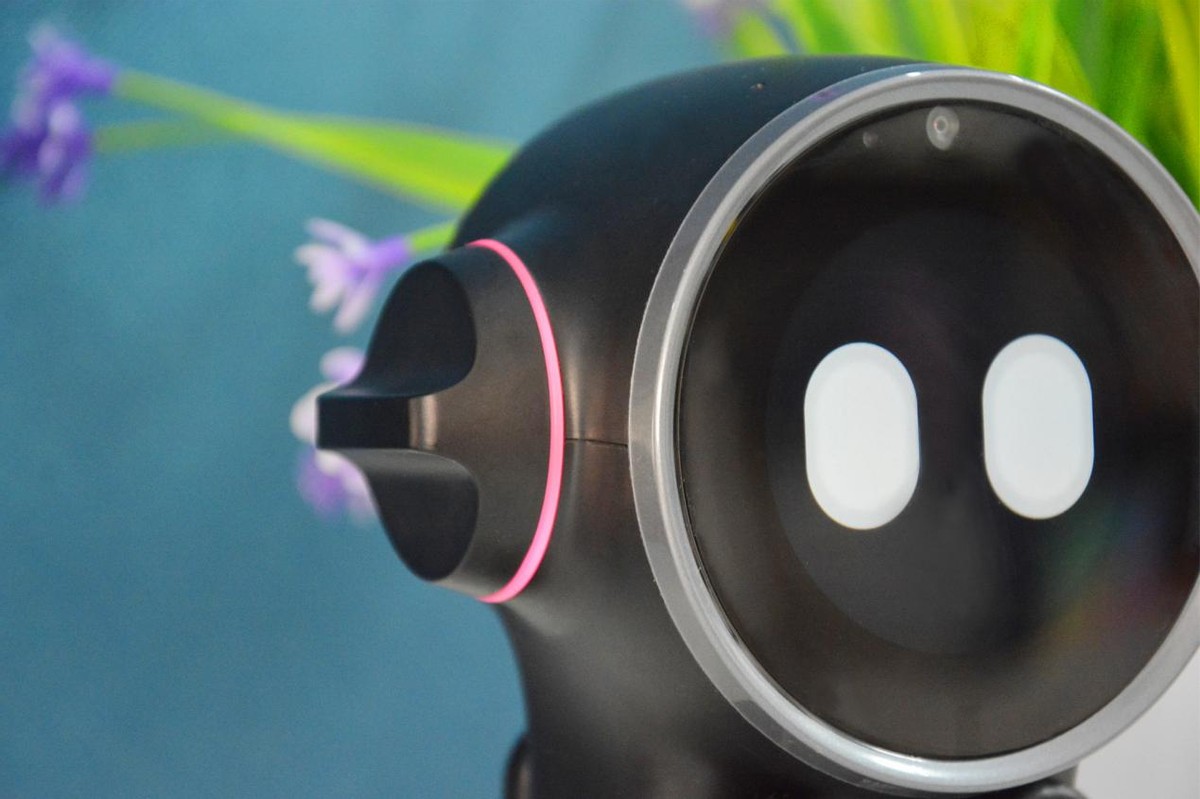 乐天派智能机器人,乐天派桌面机器人测评