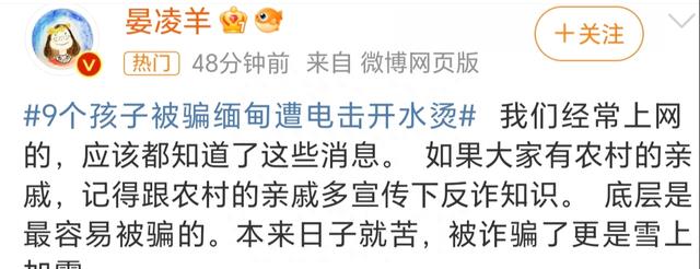 缅北套路深，我想回农村，9个孩子被骗缅甸遭电击开水烫