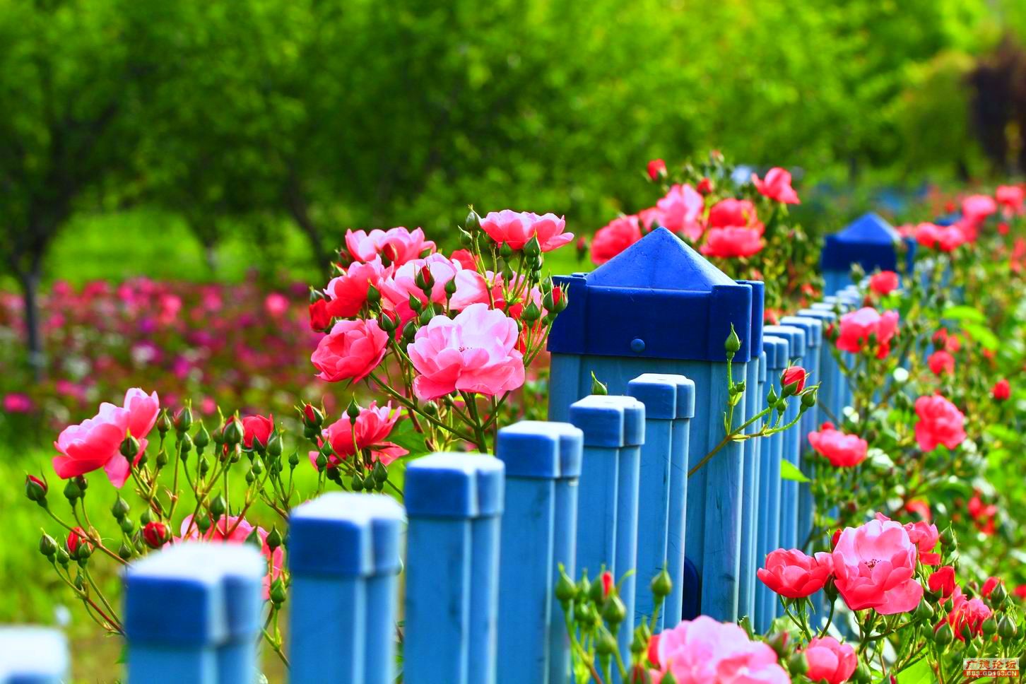 小说《锅伙》(33):命名并缔姻