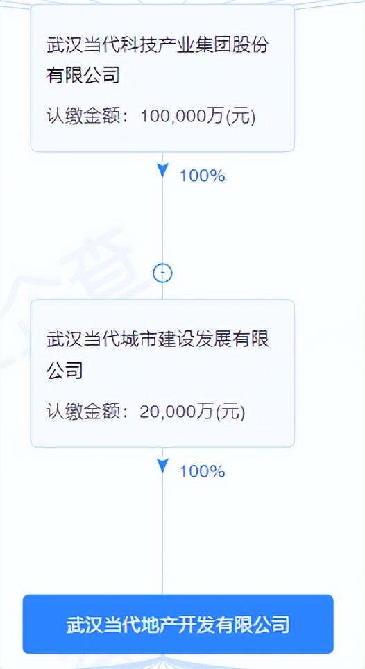 武汉本土民营开发商怎么样,武汉本土房地产开发商排名