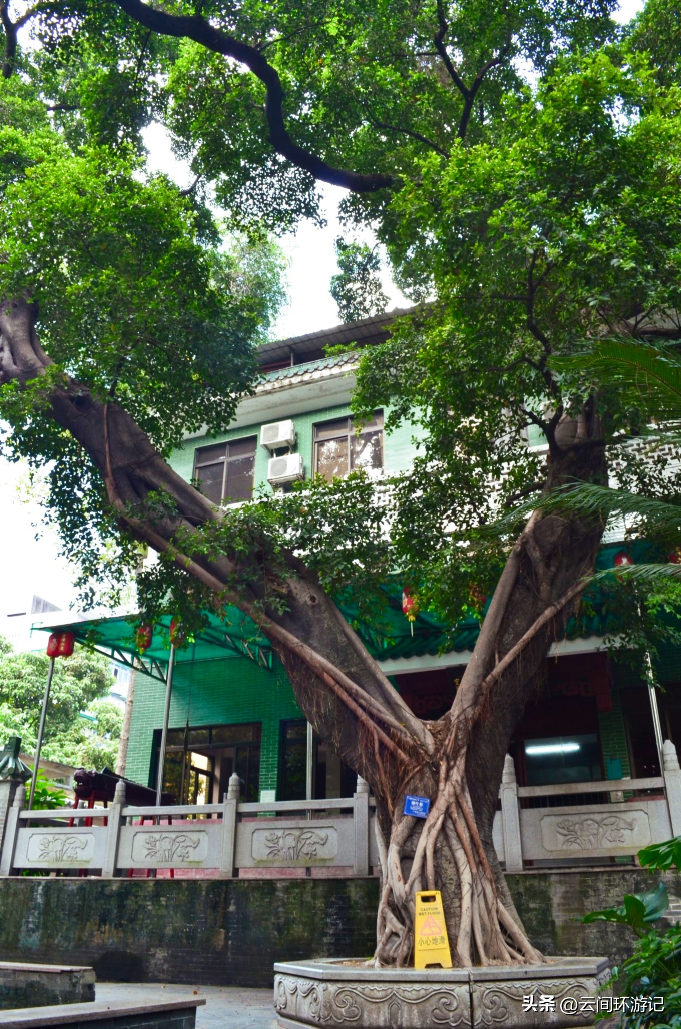 历史影像中的广州,广州羊城的历史故事