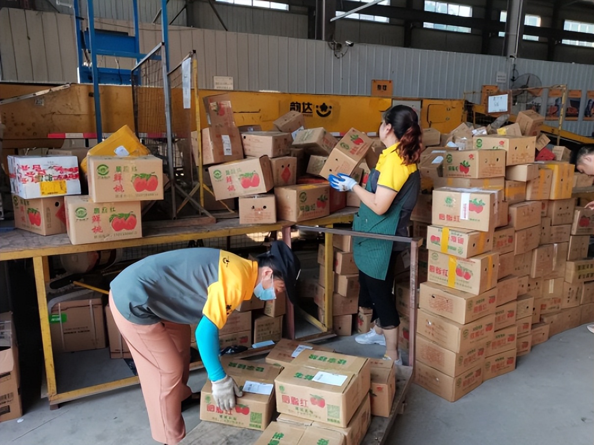 韵达“智橙网”有保障，上半年已寄2.5万公斤湖北广水“胭脂红”