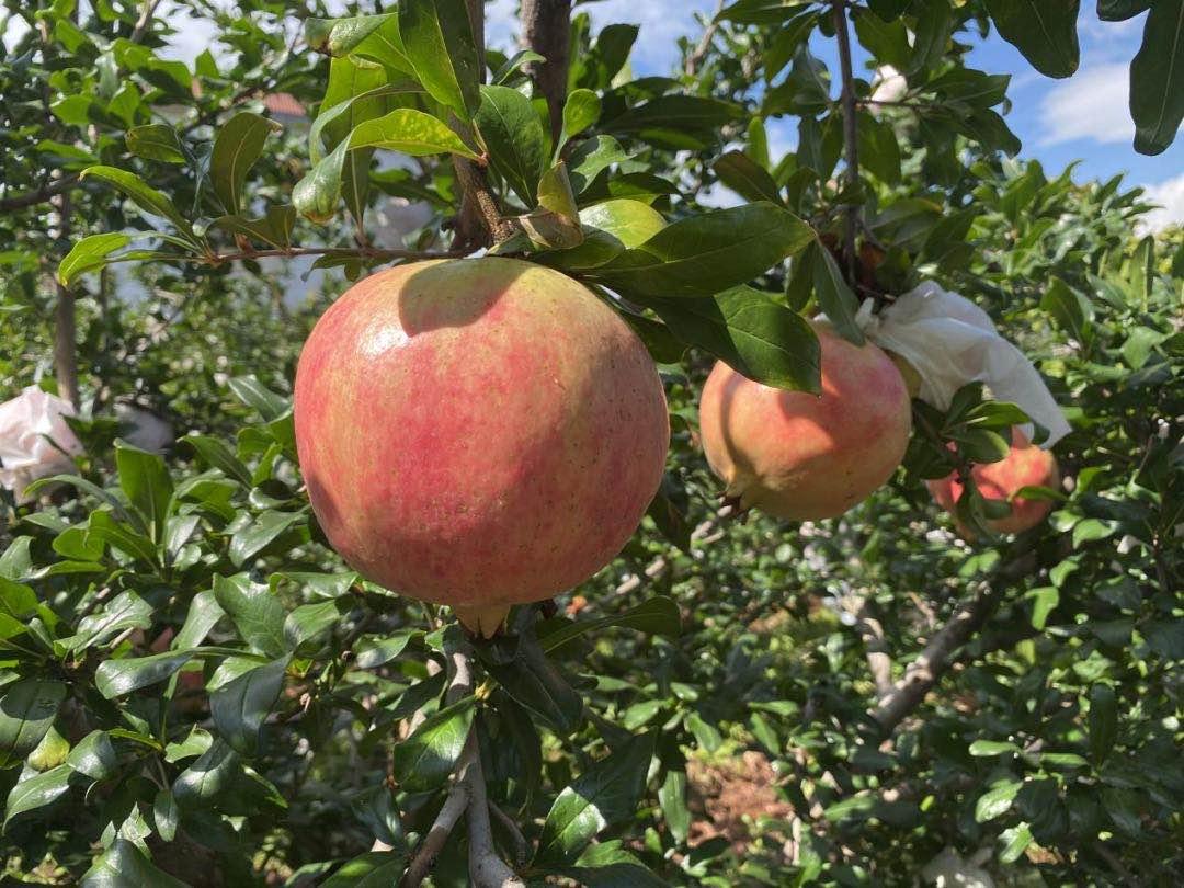 西昌旅游吃住攻略大全最新,11月西昌旅游必备物品