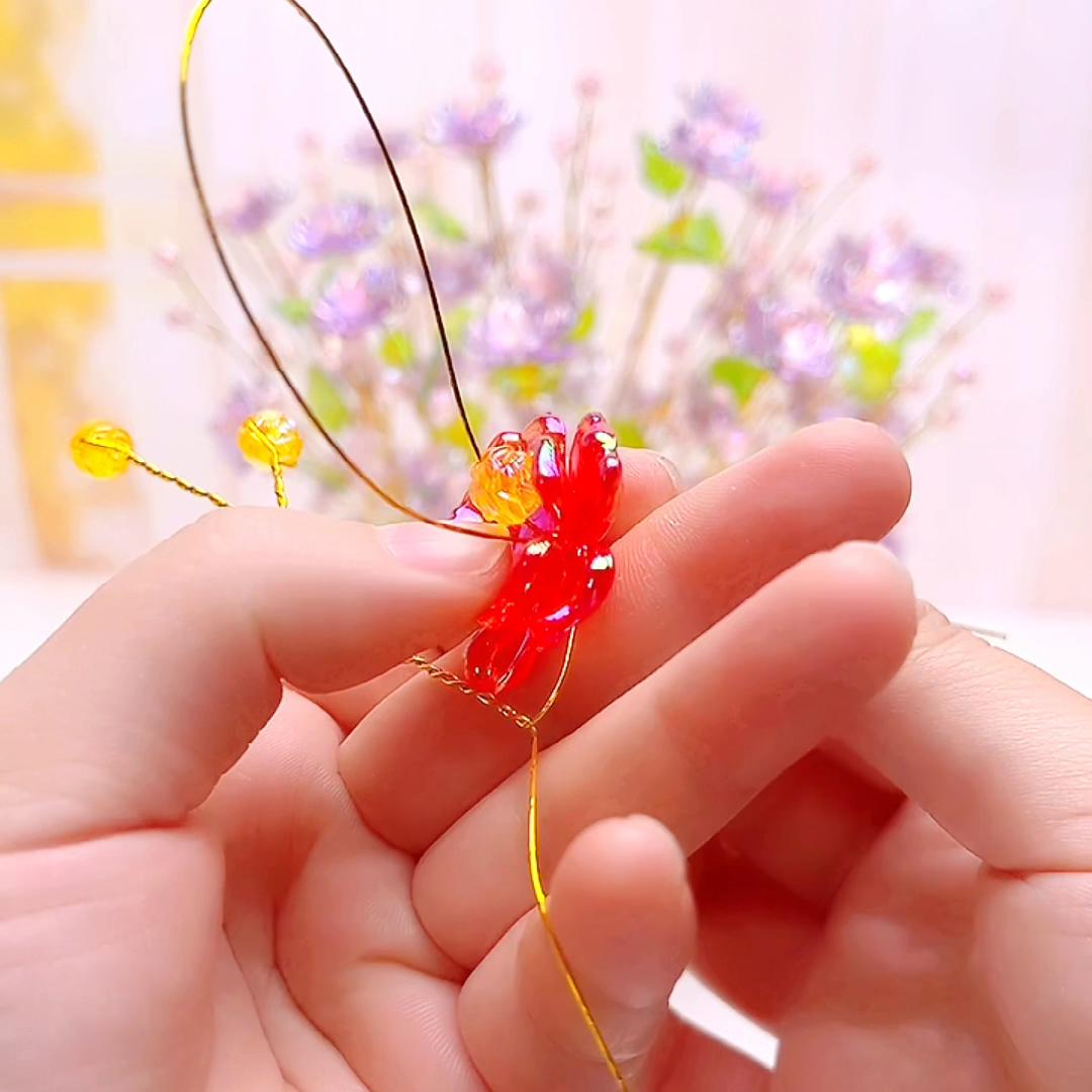 水晶玫瑰多肉,水晶玫瑰花教程